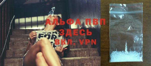 прущая мука Ельня