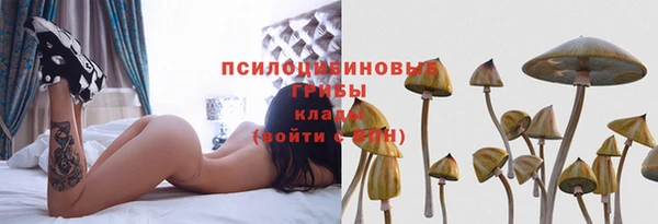 хмурый Елабуга