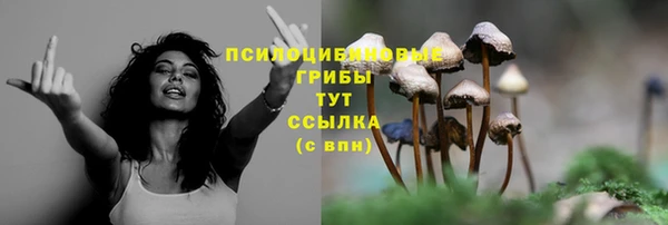 винт Елизово