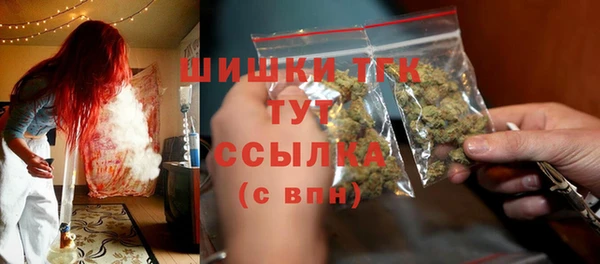 прущие грибы Рославль