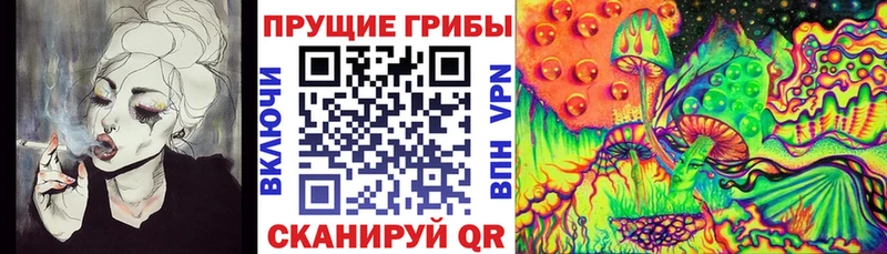 купить наркотик  ОМГ ОМГ ссылка  Псилоцибиновые грибы мицелий  Сретенск 